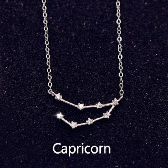 NEW Silver SImple Zodiac Necklace - Capricorn - Picture 1 of 2